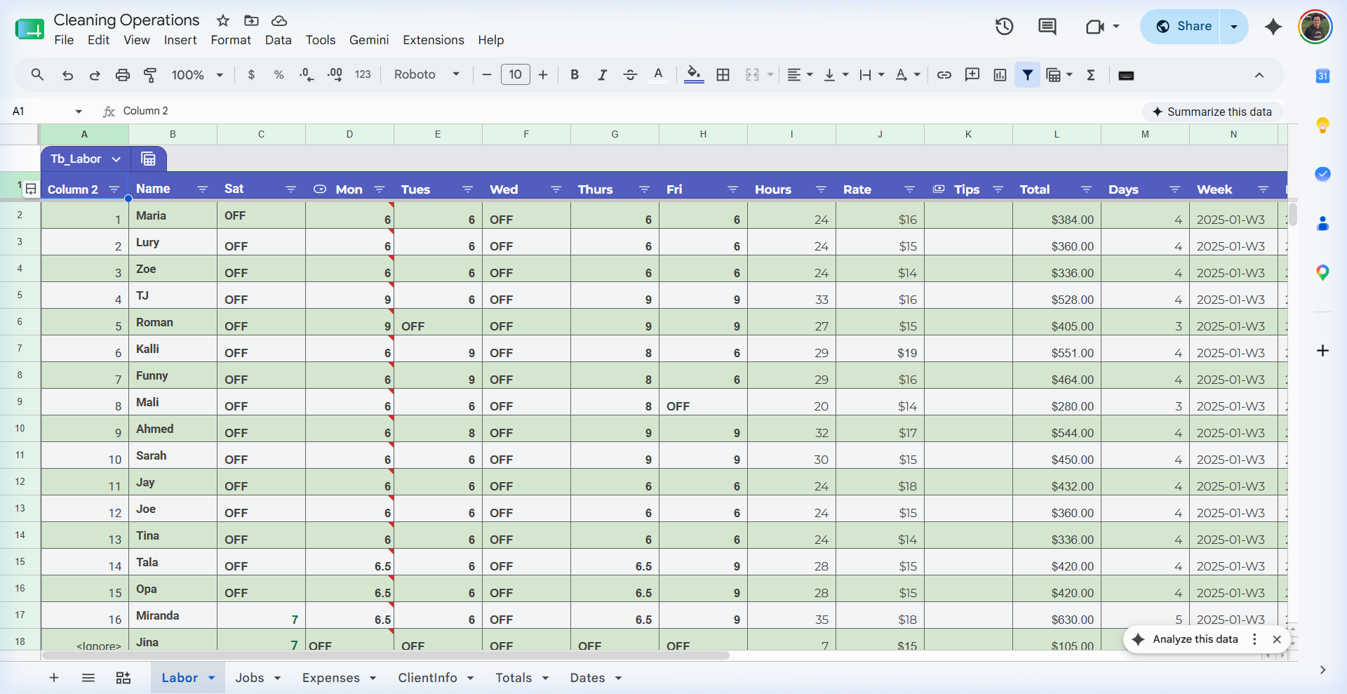 Google Sheets database table used to power the cleaning services dashboard